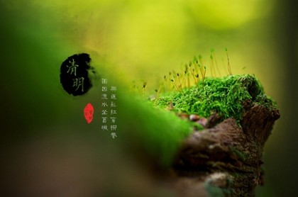 我想了解12星座