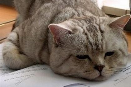 从八字看有没有当官的命