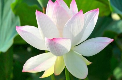 梦见顺利过桥