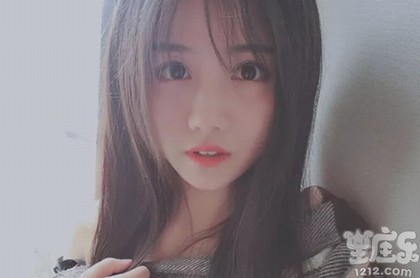 周公解梦梦见双头动物