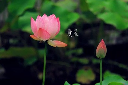 惠字五行属什么