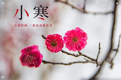 五行属木寓意最好的字100分字男
