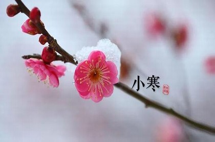 梦见给去死的亲人烧纸