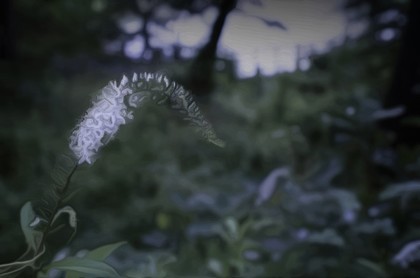 风水呼龙口诀