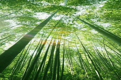 梦见死去的亲人没钱花