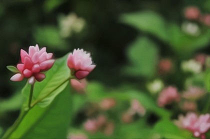 做梦梦到照相好不好