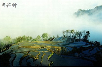 八字大运逢库