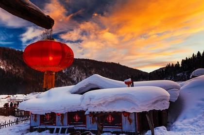 柿子树与家庭风水