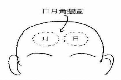 梦见自己被马蜂追
