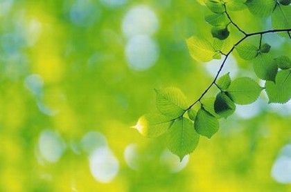 周公解梦厨房塌了预示着什么