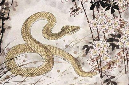 梦到两脚踩到大粪好吗