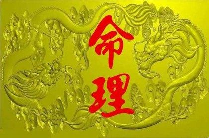 梦到自己怀孕四个月流产了