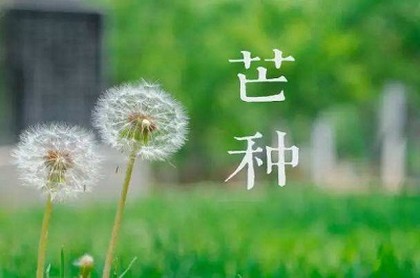 2022年1月8日天蝎座运势