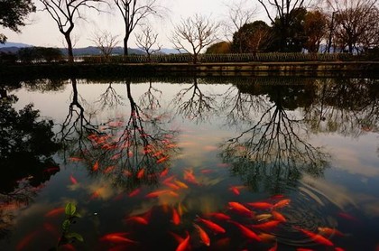 测测你的星座人格成分