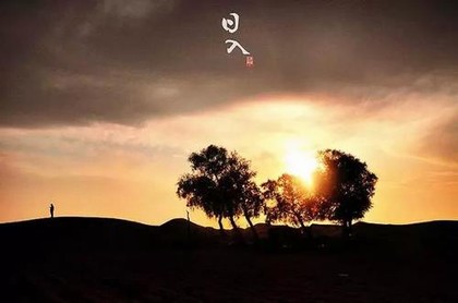 办公室养狗风水禁忌