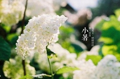 梦见天上飘黑云