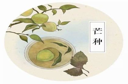 梅花易给自己卜卦天谴