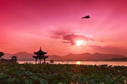 塔罗牌战车逆位代表什么性格的人